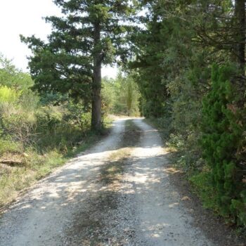Derbousset Provence