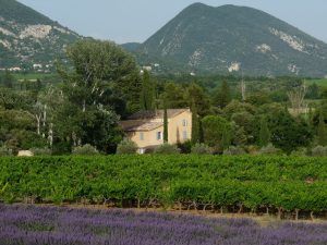 Derbousset Provence