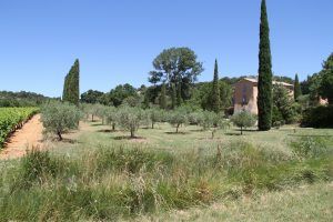 Description Derbousset Provence