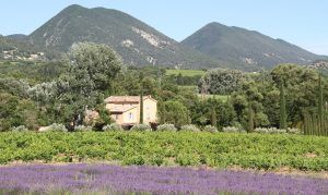 Derbousset Provence