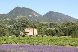 Description Derbousset Provence