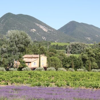 Description Derbousset Provence